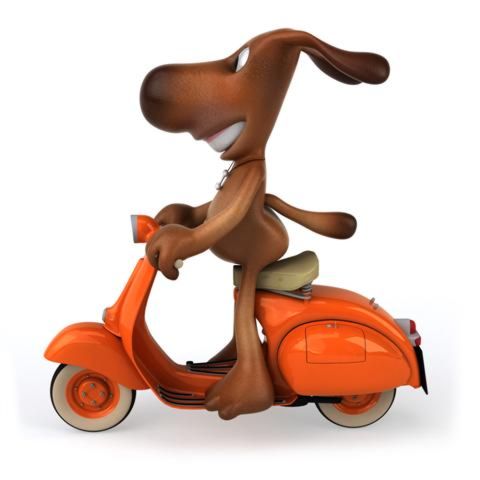 Autocollant chien scooter