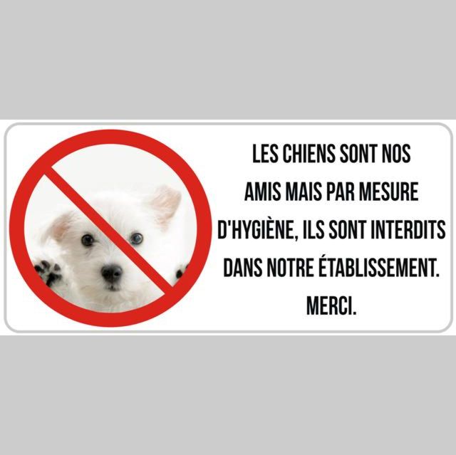 Autocollant interdit aux chiens restaurant brasserie