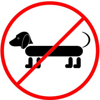 Autocollant interdit aux chiens