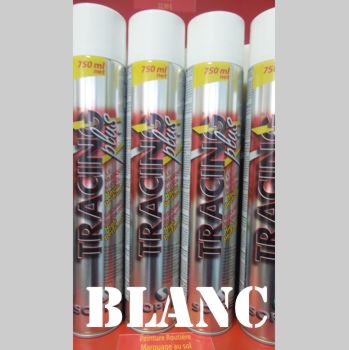 Peinture sol blanche