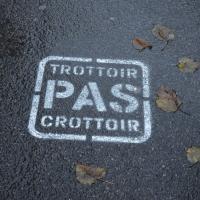 Pochoir trottoir pas crottoir peint sur bitume