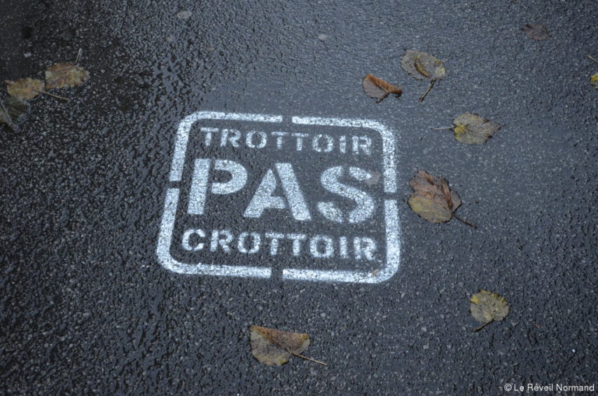 Pochoir trottoir pas crottoir peint sur bitume